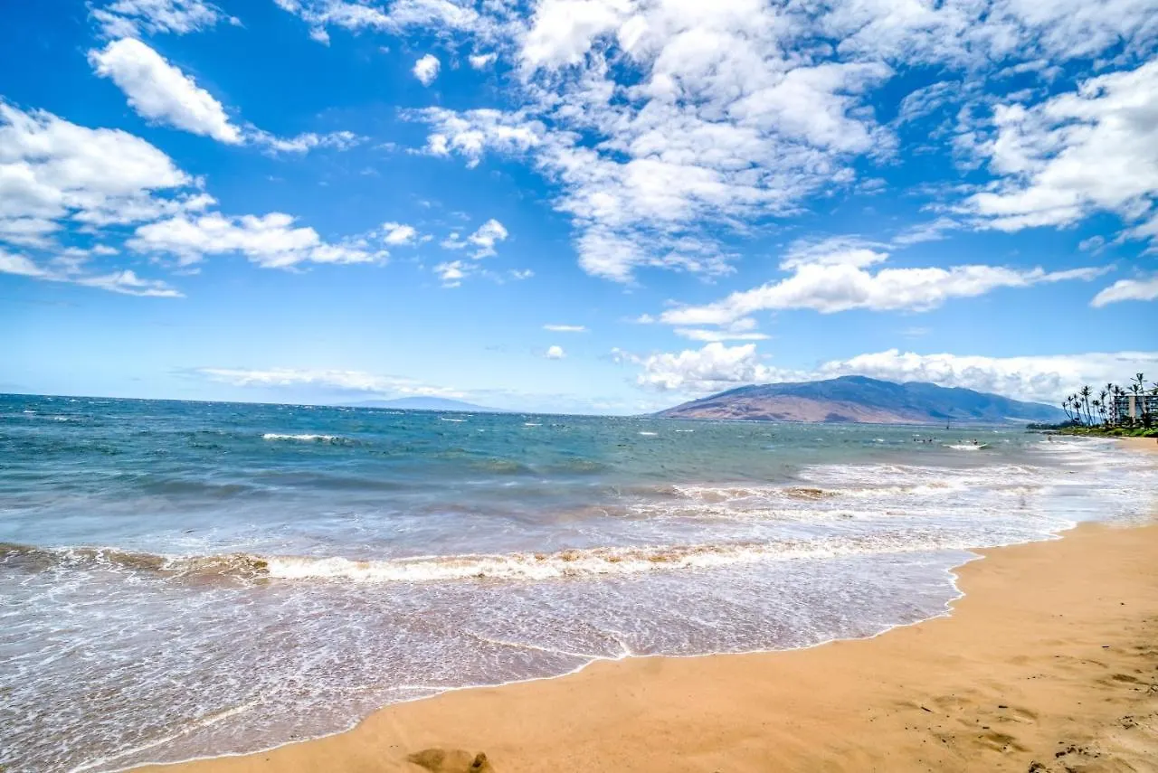 Maui Banyan H506 Condo Wailea  Wailea (Maui)